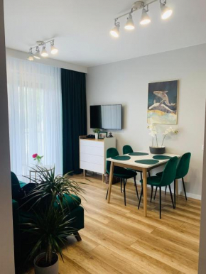 Apartament Stemar z dyżym baloknem, Gorzów Wielkopolski